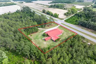5300 Golden Isles W, Baxley, GA 31513 - Photo 4
