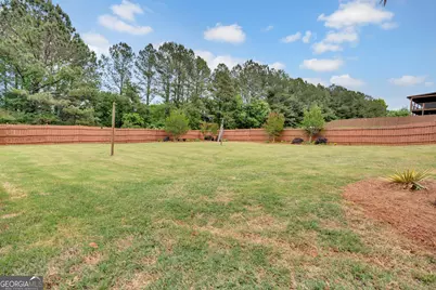 118 Big Cotton Trail, McDonough, GA 30252 - Photo 56