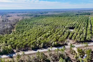 0 Bells Ferry Rd, Lumber City, GA 31549 - Photo 1
