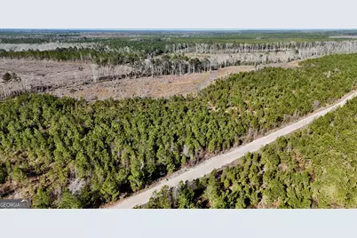 0 Tillman Cementery Road, Lumber City, GA 31549 - Photo 6