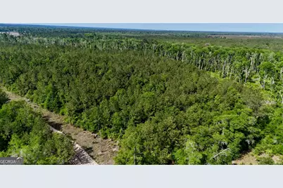 0 Tillman Cementery Road, Lumber City, GA 31549 - Photo 1