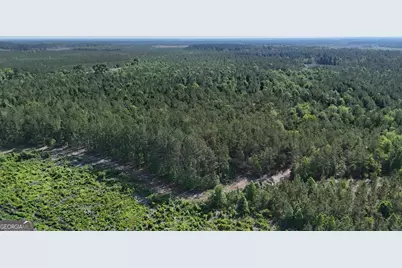 0 Tillman Cementery Road, Lumber City, GA 31549 - Photo 8