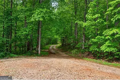 1 Thurmond Walker Road, Dahlonega, GA 30533 - Photo 36