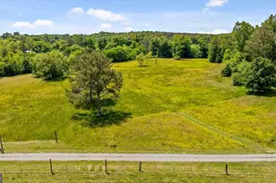 446 Brown Bridge Rd, Chatsworth, GA 30705 - Photo 8