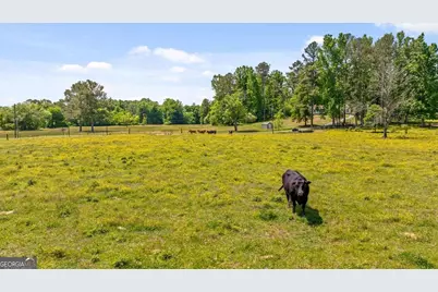 446 Brown Bridge Road, Chatsworth, GA 30705 - Photo 14