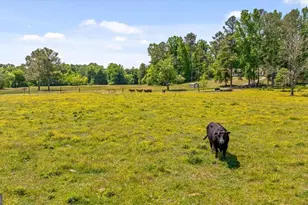 446 Brown Bridge Rd, Chatsworth, GA 30705 - Photo 14