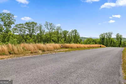 Lot 237 Highgrove Drive, Talking Rock, GA 30175 - Photo 4