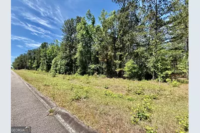 1983 Minton Chapel Road, Bartow, GA 30413 - Photo 18
