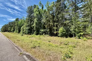 1983 Minton Chapel Rd, Bartow, GA 30413 - Photo 18