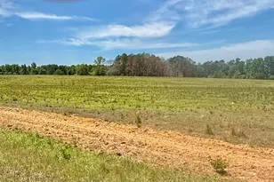 1983 Minton Chapel Rd, Bartow, GA 30413 - Photo 22