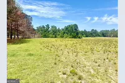 1983 Minton Chapel Road, Bartow, GA 30413 - Photo 26