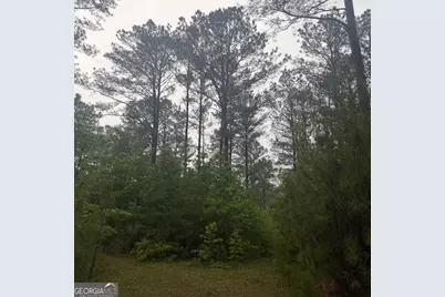 145 +/- Acres George Smith Road, Talbotton, GA 31827 - Photo 24