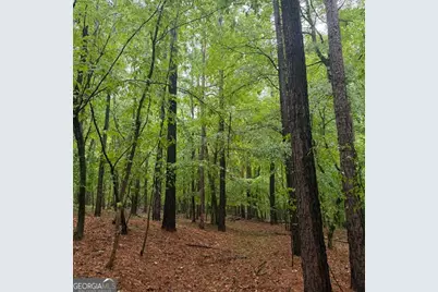 145 +/- Acres George Smith Road, Talbotton, GA 31827 - Photo 26