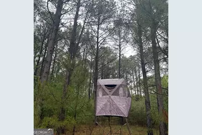 145 +/- Acres George Smith Road, Talbotton, GA 31827 - Photo 16