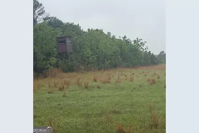 145 +/- Acres George Smith Road, Talbotton, GA 31827 - Photo 14