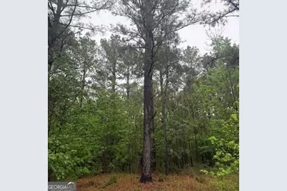 145 +/- Acres George Smith Road, Talbotton, GA 31827 - Photo 22