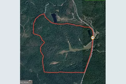 145 +/- Acres George Smith Road, Talbotton, GA 31827 - Photo 36