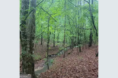 145 +/- Acres George Smith Road, Talbotton, GA 31827 - Photo 6