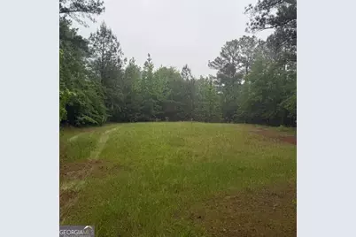 145 +/- Acres George Smith Road, Talbotton, GA 31827 - Photo 10