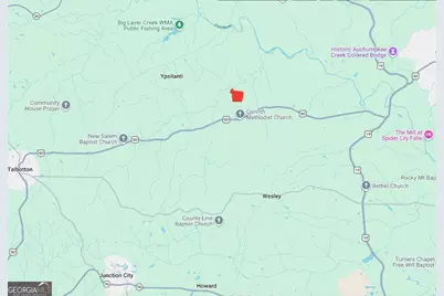 145 +/- Acres George Smith Road, Talbotton, GA 31827 - Photo 32