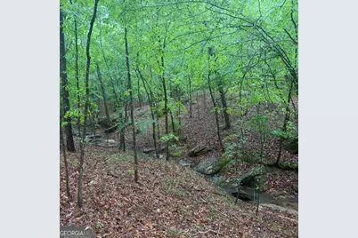 145 +/- Acres George Smith Road, Talbotton, GA 31827 - Photo 4