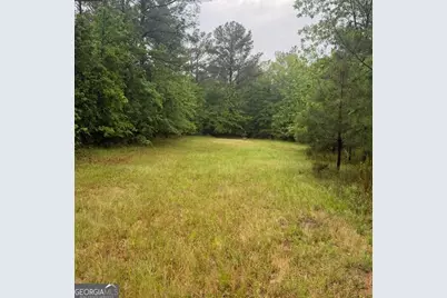 145 +/- Acres George Smith Road, Talbotton, GA 31827 - Photo 12