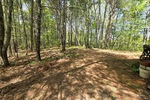 92 Misty Mountain Trail, Morganton, GA 30560 - Photo 44