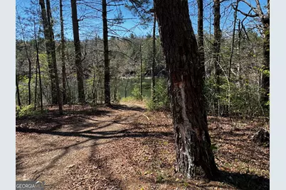 92 Misty Mountain Trail, Morganton, GA 30560 - Photo 52