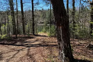 92 Misty Mountain Trail, Morganton, GA 30560 - Photo 52