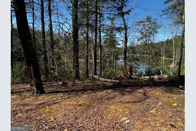 92 Misty Mountain Trail, Morganton, GA 30560 - Photo 54