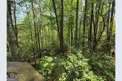 92 Misty Mountain Trail, Morganton, GA 30560 - Photo 50