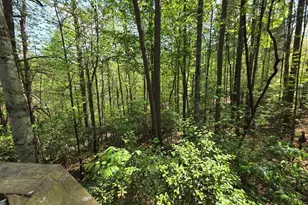 92 Misty Mountain Trail, Morganton, GA 30560 - Photo 50