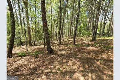 92 Misty Mountain Trail, Morganton, GA 30560 - Photo 48