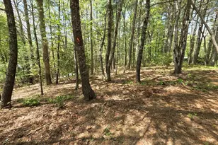 92 Misty Mountain Trail, Morganton, GA 30560 - Photo 48