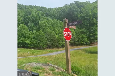Lot 67 Hillside Court, Morganton, GA 30560 - Photo 4