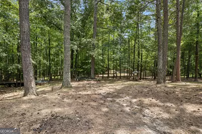 4751 Bill Cheek Road, Auburn, GA 30011 - Photo 74