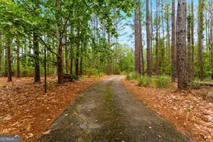 202 Rolling Ridge Ct, Statesboro, GA 30461 - Photo 4