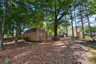 194 Charleston Ave, Bremen, GA 30110 - Photo 28