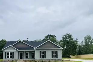 4381 Nessmith Rd, Statesboro, GA 30458 - Photo 2