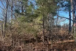 4381 Nessmith Rd, Statesboro, GA 30458 - Photo 22