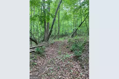 0 Crest View Drive, Dahlonega, GA 30533 - Photo 12