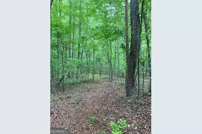 0 Crest View Drive, Dahlonega, GA 30533 - Photo 8