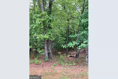 0 Crest View Drive, Dahlonega, GA 30533 - Photo 10
