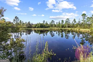 315 Jeanie's Rd, Hinesville, GA 31313 - Photo 46