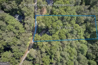 218 Bench Leg Road, Mineral Bluff, GA 30559 - Photo 30