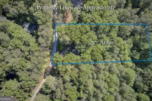 218 Bench Leg Rd, Mineral Bluff, GA 30559 - Photo 30