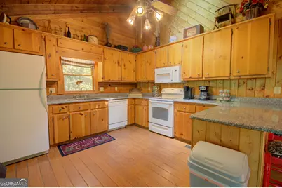 218 Bench Leg Road, Mineral Bluff, GA 30559 - Photo 68