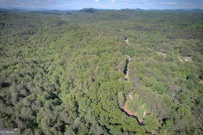 218 Bench Leg Road, Mineral Bluff, GA 30559 - Photo 26