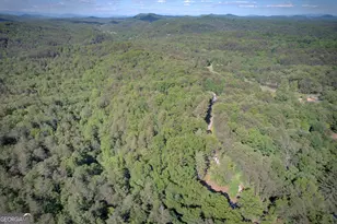 218 Bench Leg Rd, Mineral Bluff, GA 30559 - Photo 26