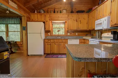 218 Bench Leg Road, Mineral Bluff, GA 30559 - Photo 62